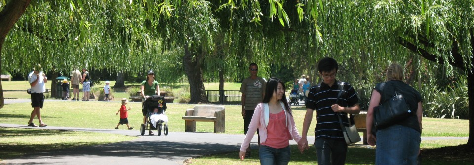 Three people walking along a path in a park, under an overhanging tree
